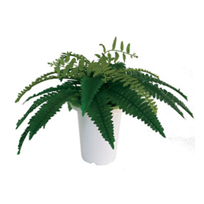 K-3 プランターボックス用 人工樹木 ボストンファーン K-3