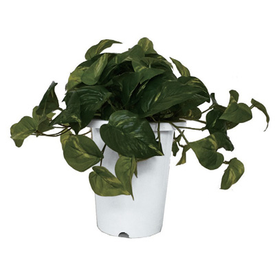 PTB-350 プランターボックス用 人工樹木 ポトスブッシュ PTB-350