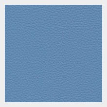 カラーサンプル