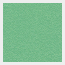 カラーサンプル