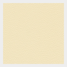 カラーサンプル